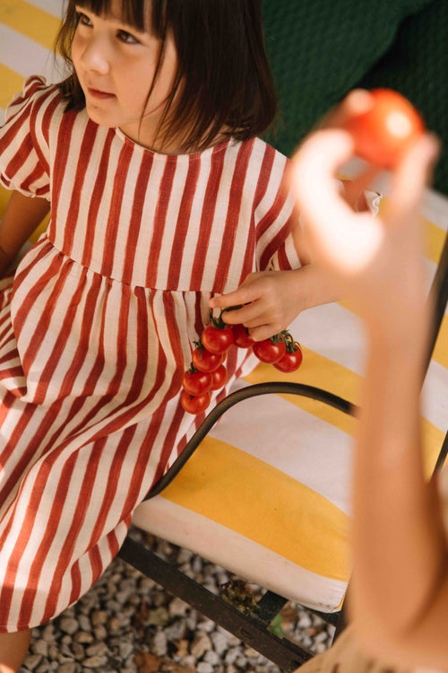 Dress Cousine Red stripes