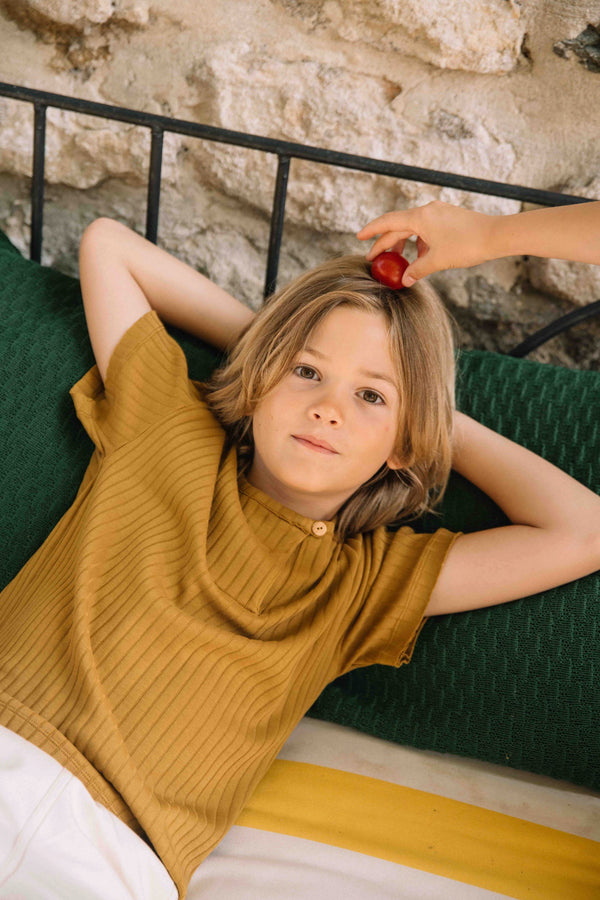 T-shirt Orso Rib Marron épicé