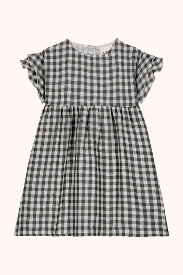 Dress Cousine Gingham