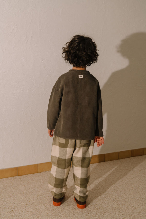 Pants Carrot flannel gingham