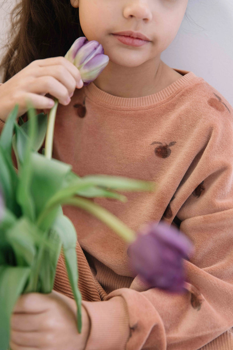 Sweatshirt Bart Velvet Pink Apples