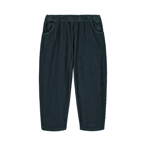 Pants Carrot Corduroy Denim blue