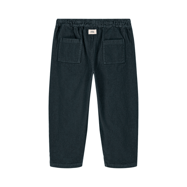 Pants Carrot Corduroy Denim blue