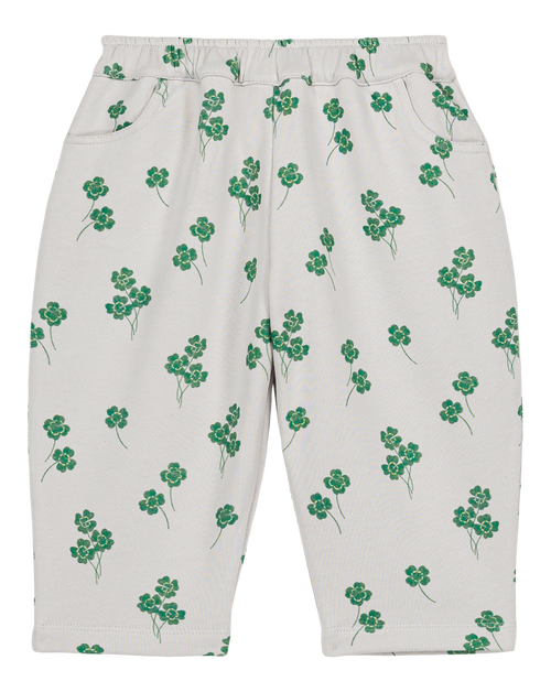 Pants Carrot Grey clovers