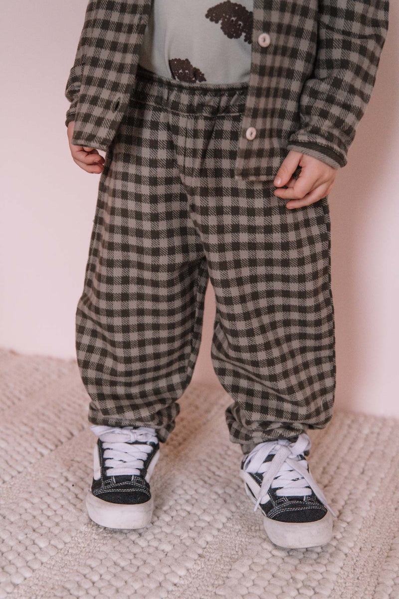 Pants Carrot flannel Grey Gingham