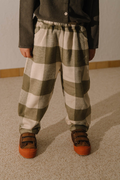 Pants Carrot flannel gingham