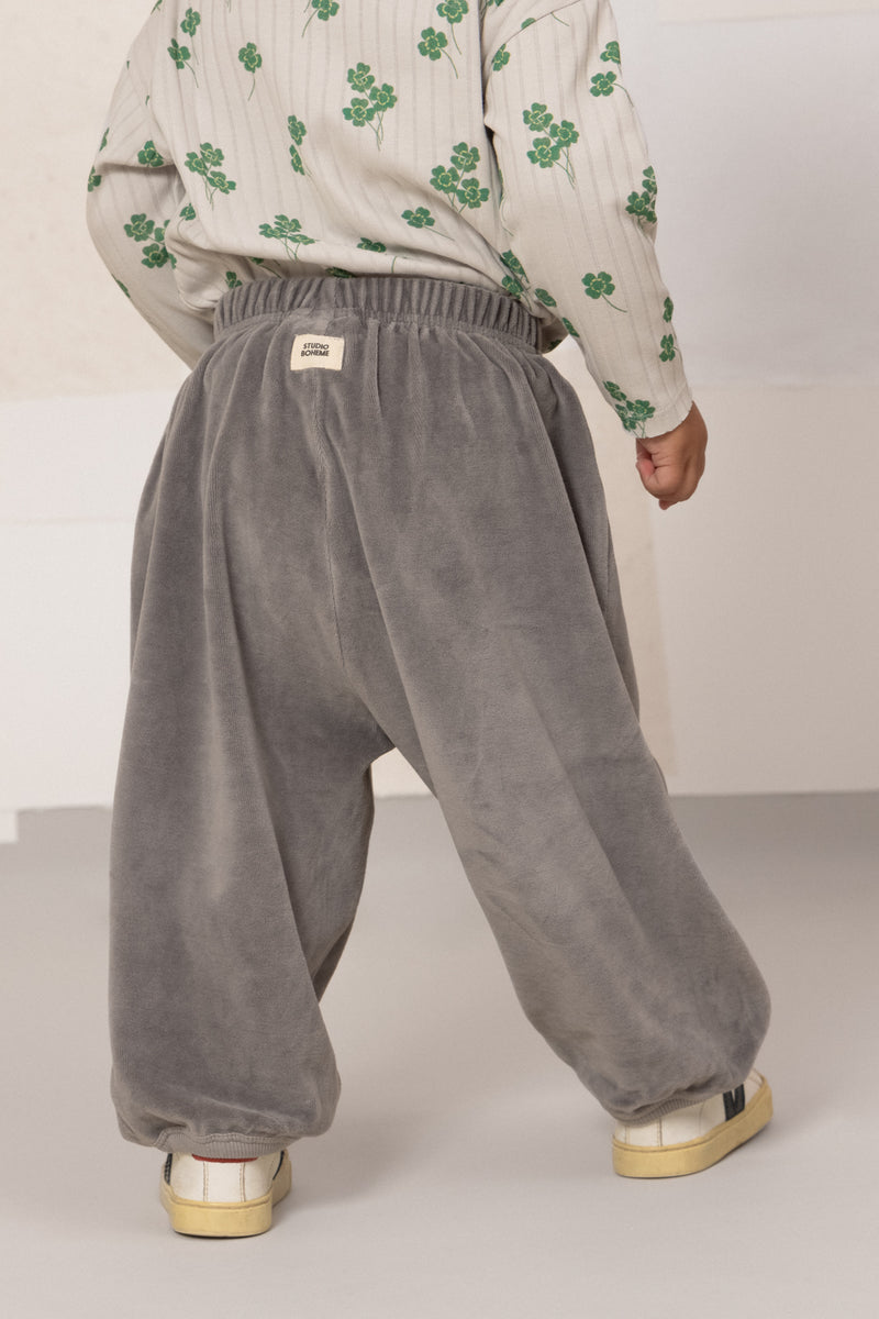 Pants Porgy Velvet grey