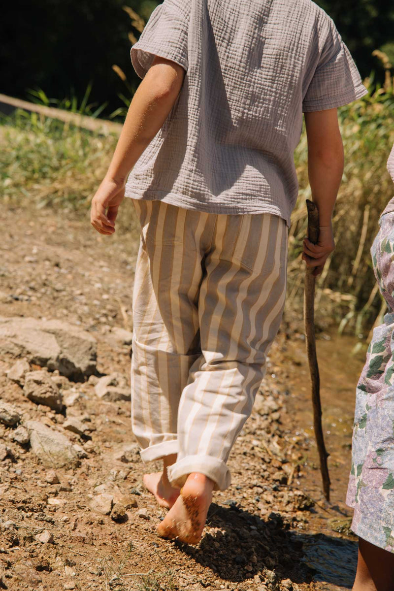 Pantalon Serge Rayures Bleu Gold