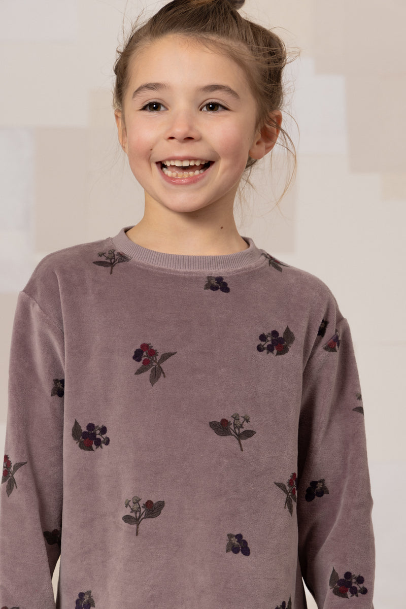 Robe Chicas Velvet Mauve mûres