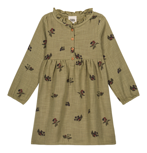 Dress Vermont green aloe blackberries