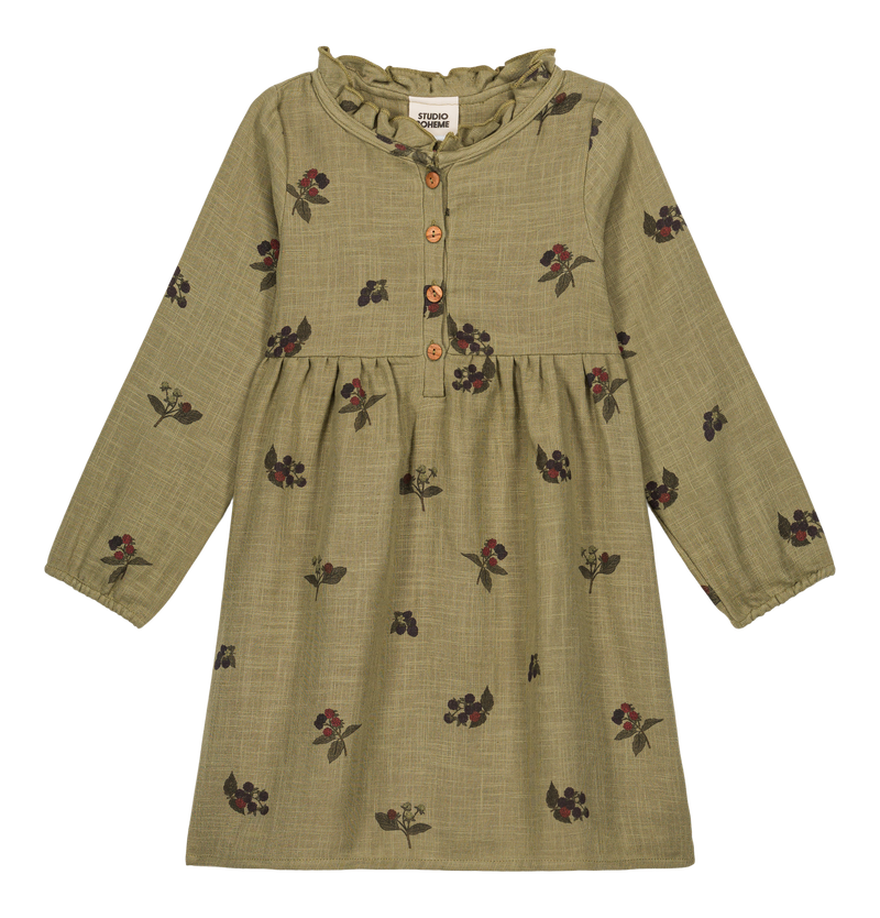 Robe Vermont Vert aloe mûres