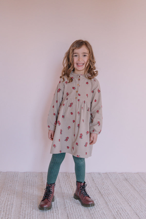 Robe Vermont Corderoy Taupe Grenades