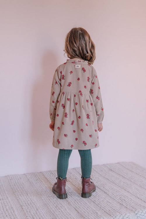 Robe Vermont Corderoy Taupe Grenades
