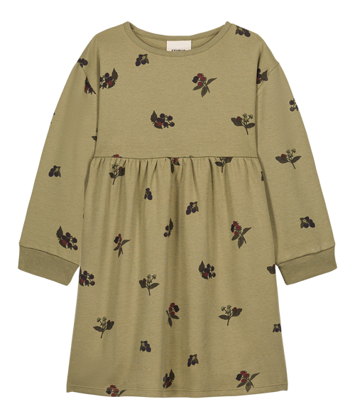 Dress Hoy aloe blackberries