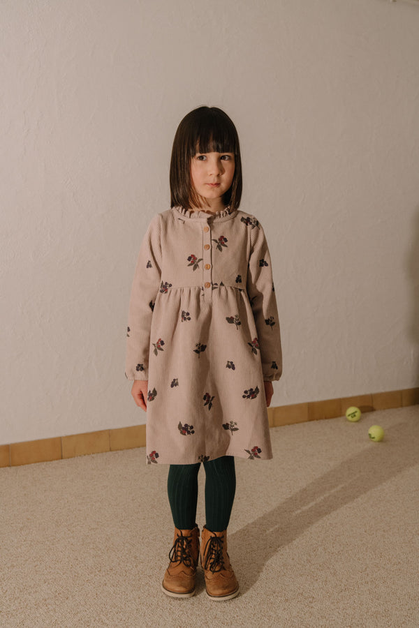 Robe Vermont Corderoy Mauve pâle mûres