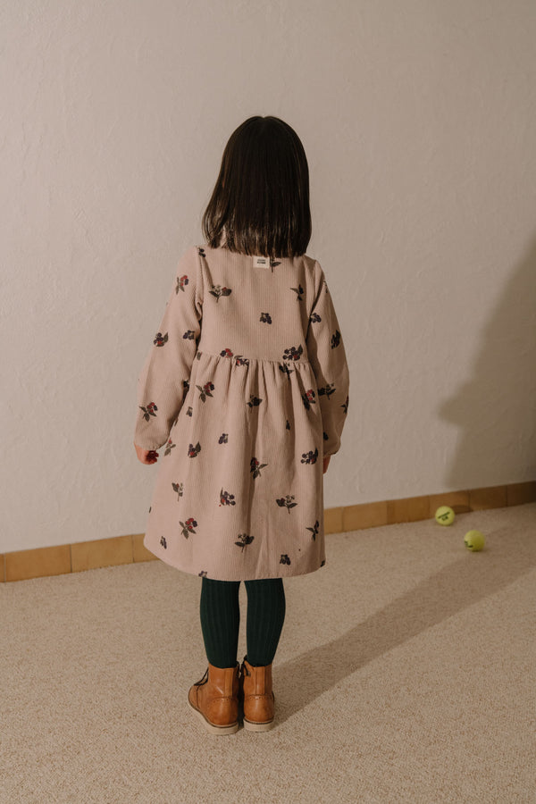 Robe Vermont Corderoy Mauve pâle mûres
