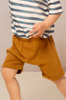 Shorts Simon Spicy Brown