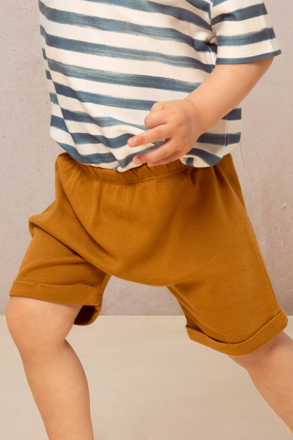 Shorts Simon Spicy Brown