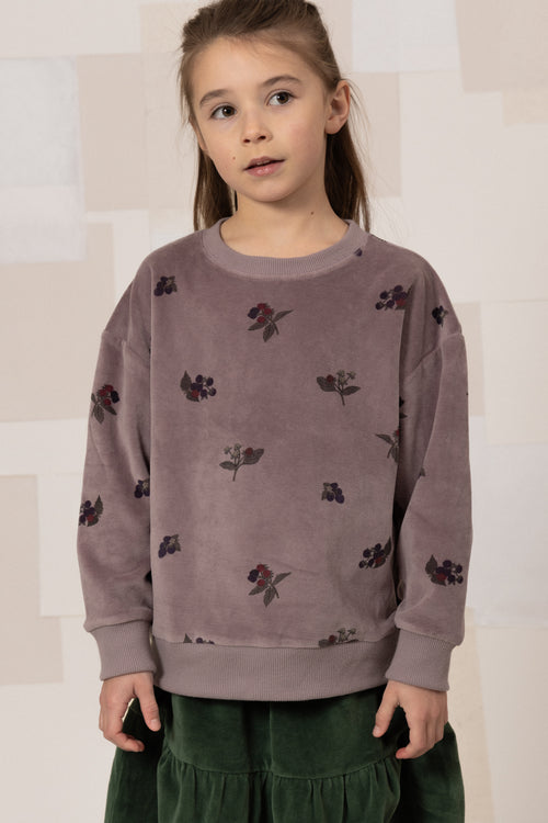 Sweat-shirt Bart Velvet Mauve mûres