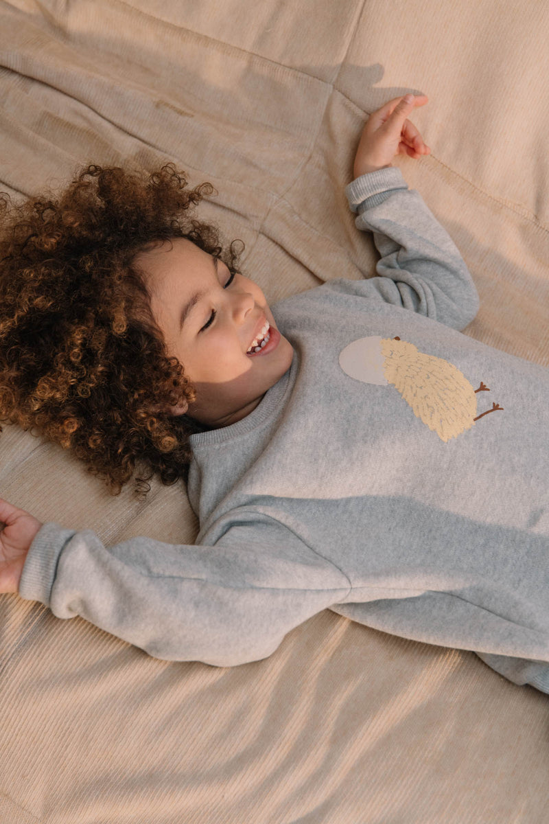 Sweatshirt Bart Grey Chick