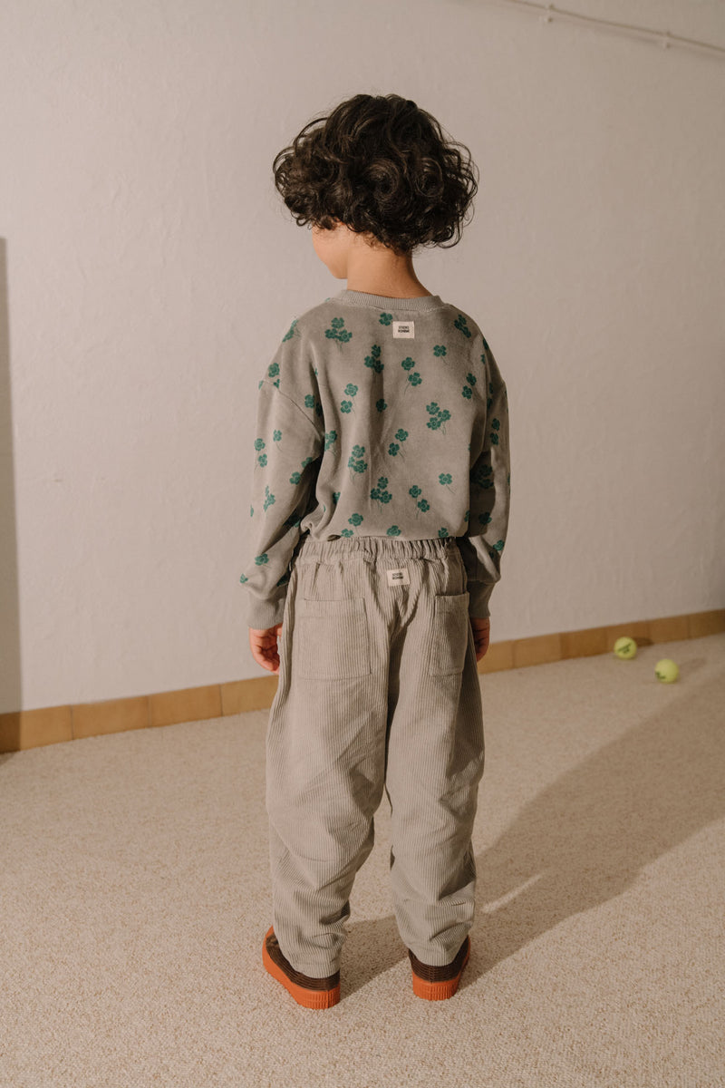 Pants Carrot Corduroy Grey