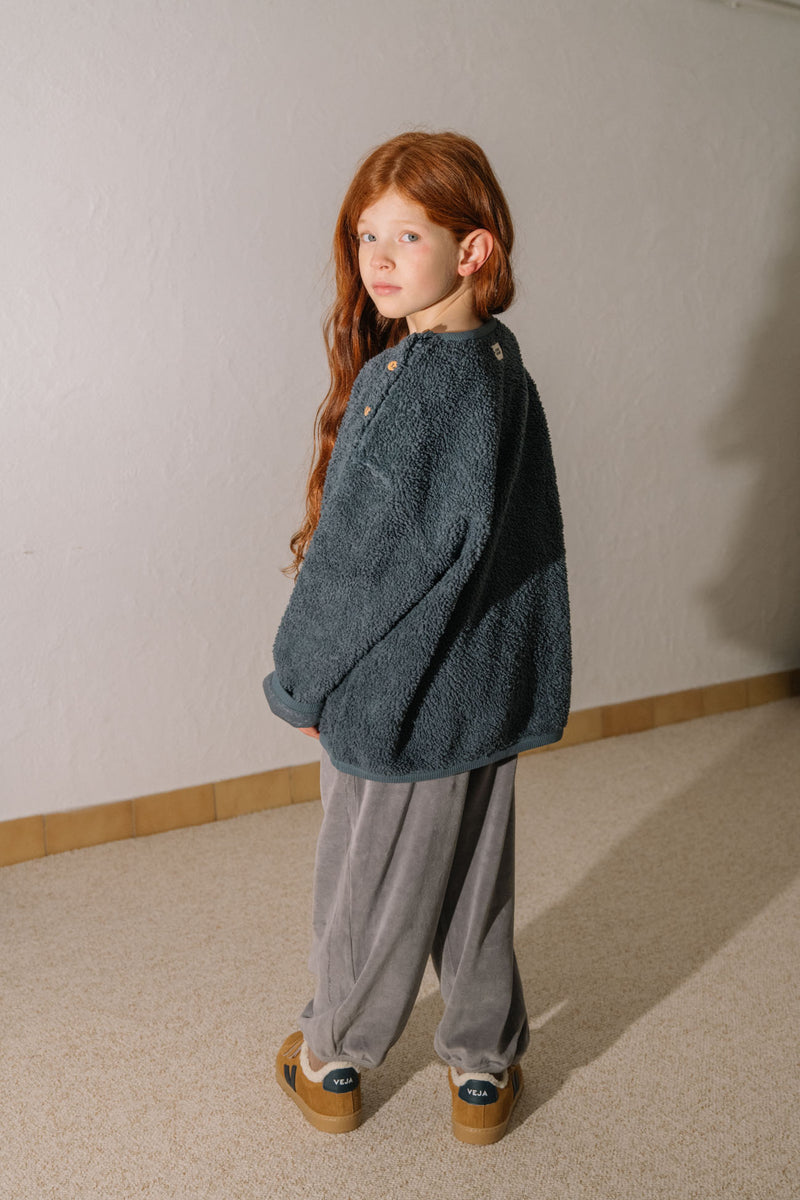 Pants Porgy Velvet grey